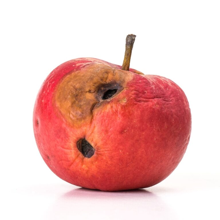 Don’t Let A Bad Apple Hold You Down