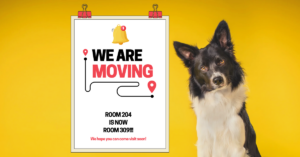 The Great Classroom Migration: A Teacher’s Guide to Relocating Over the Summer