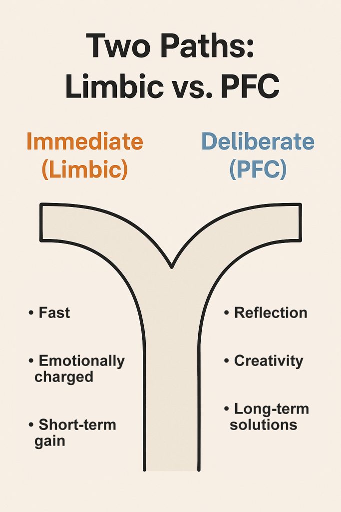 A forked-path diagram titled Two Paths: Limbic vs. PFC, contrasting the fast, emotionally charged, short-term Immediate (Limbic) path with the reflective, creative, long-term Deliberate (PFC) path.